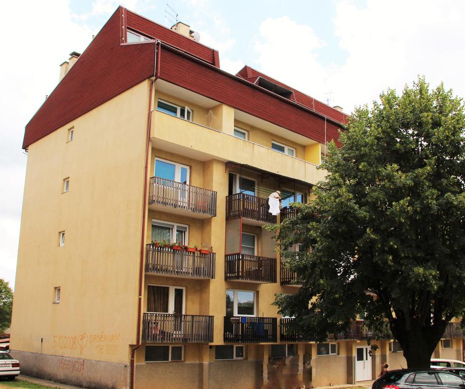 Apartman Drenovac 斯诺基 外观 照片