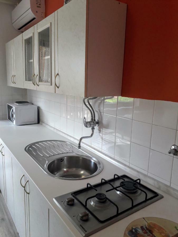 Apartman Drenovac 斯诺基 外观 照片