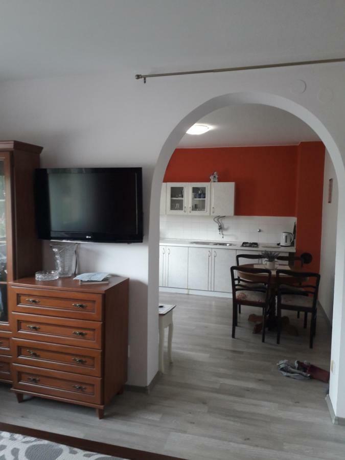 Apartman Drenovac 斯诺基 外观 照片